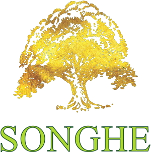 Songhe Tools Paraguay